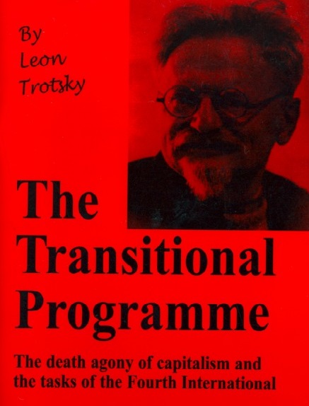 the_transitional_programme_8.jpg
